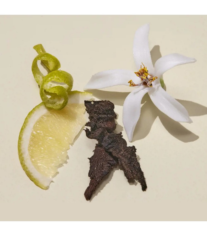 عطر جیبی اسنزا ۸ میل